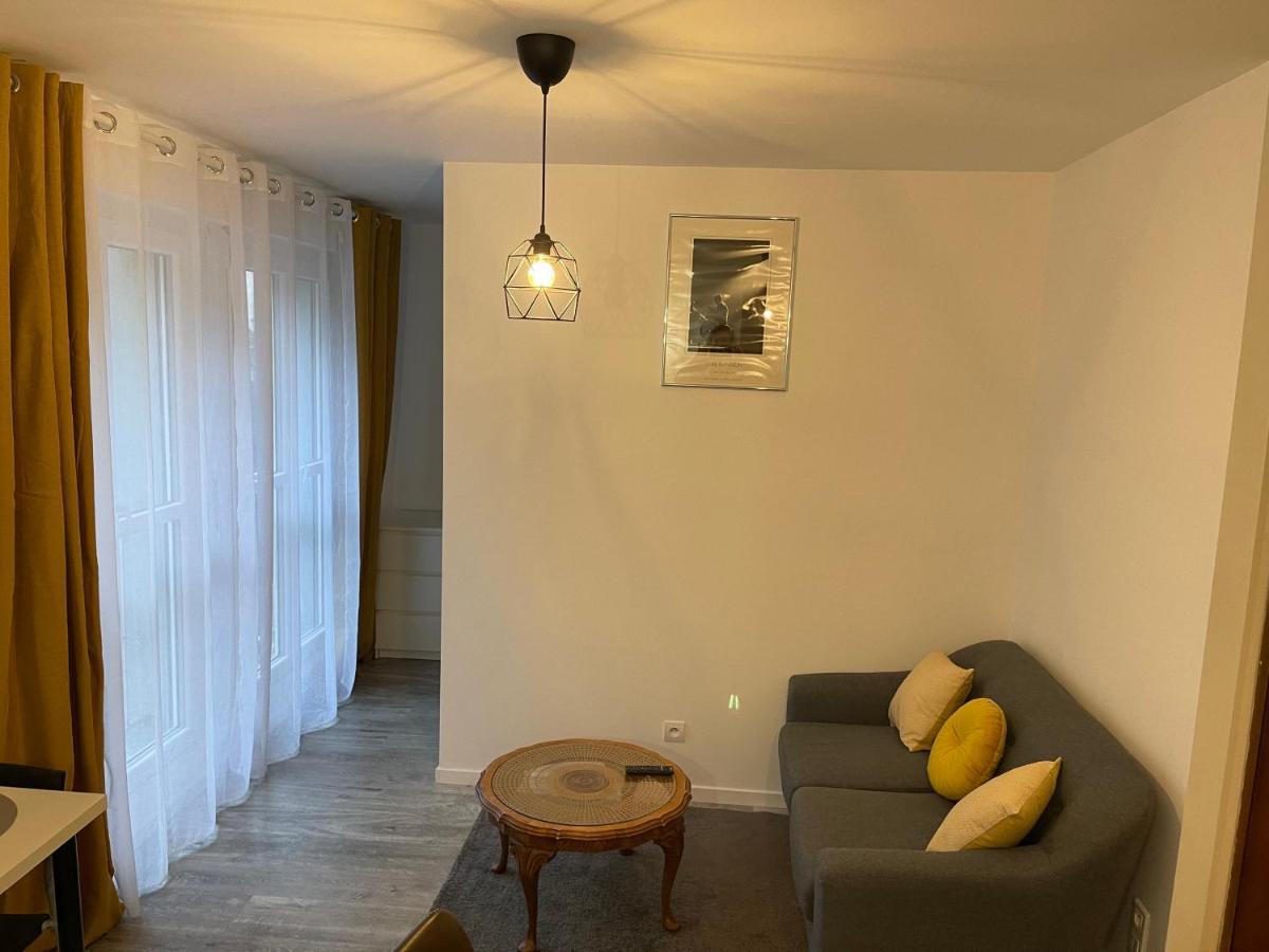 Epinal : Superbe Appartement En Plein Centre Ville Buitenkant foto